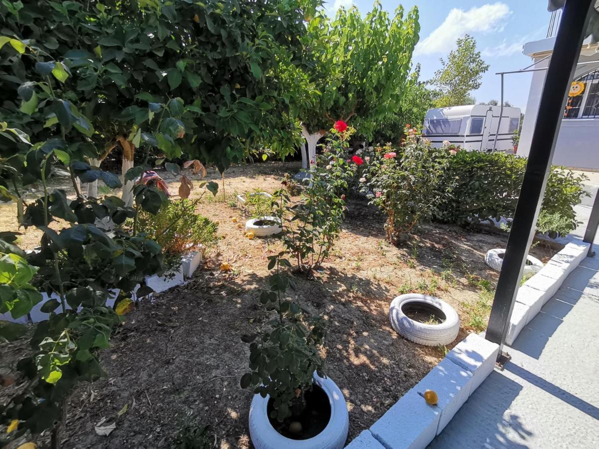 Green Garden Caravan Hotel Agrilia Bagian luar foto